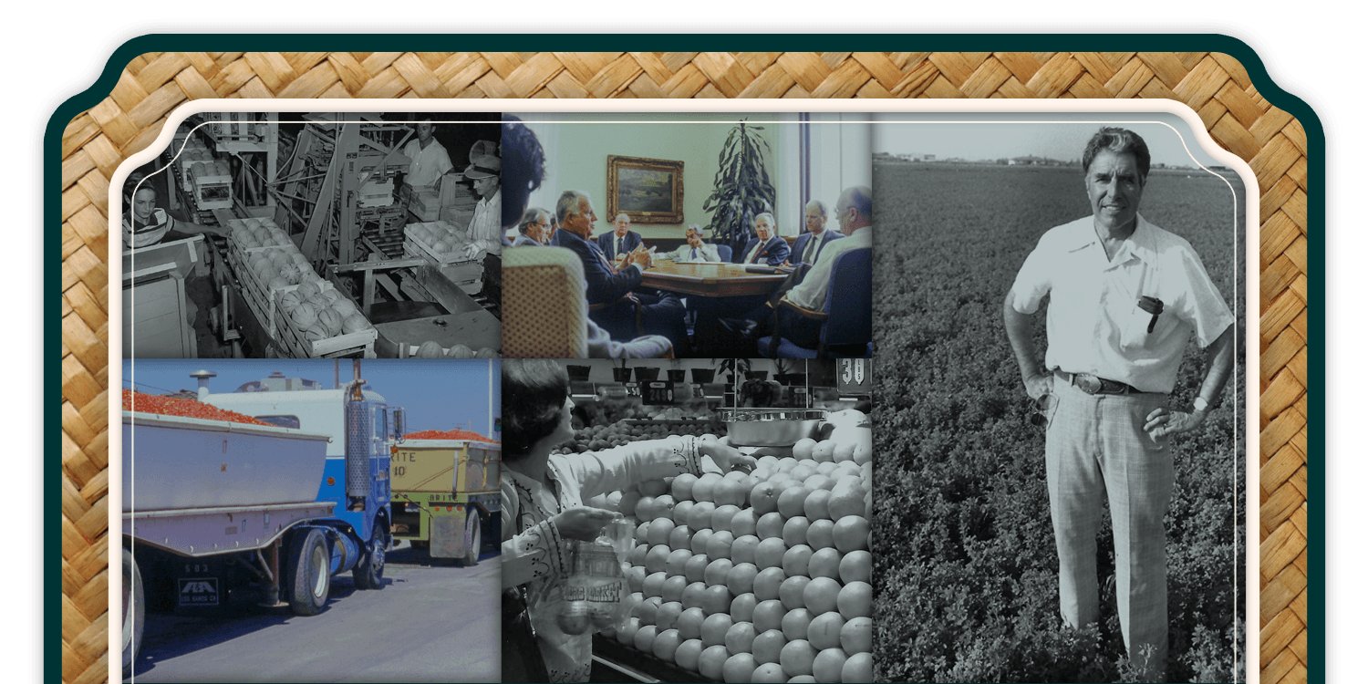 A collage of workers working in a field
