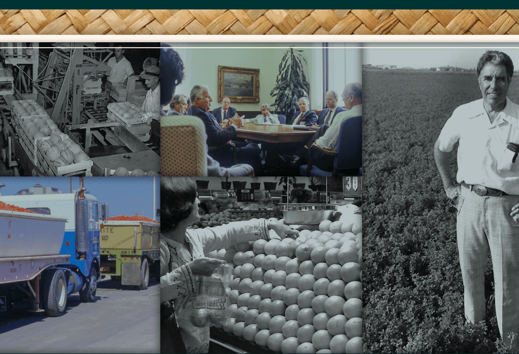 A collage of workers working in a field