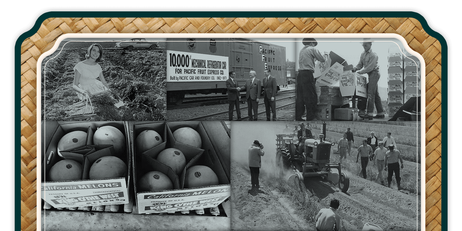 A collage of workers working in a field