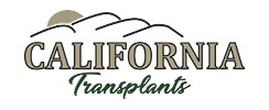 Sponsors Placeholder