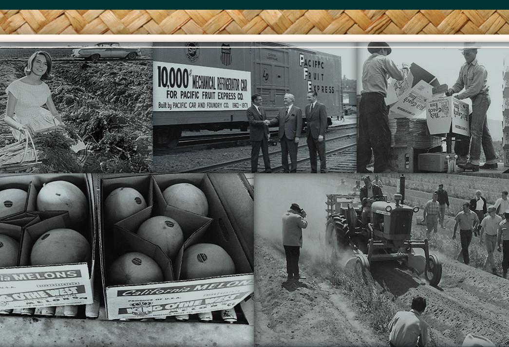 A collage of workers working in a field
